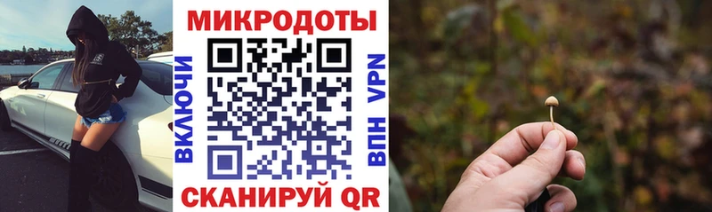 Псилоцибиновые грибы Psilocybine cubensis  Верхний Уфалей 