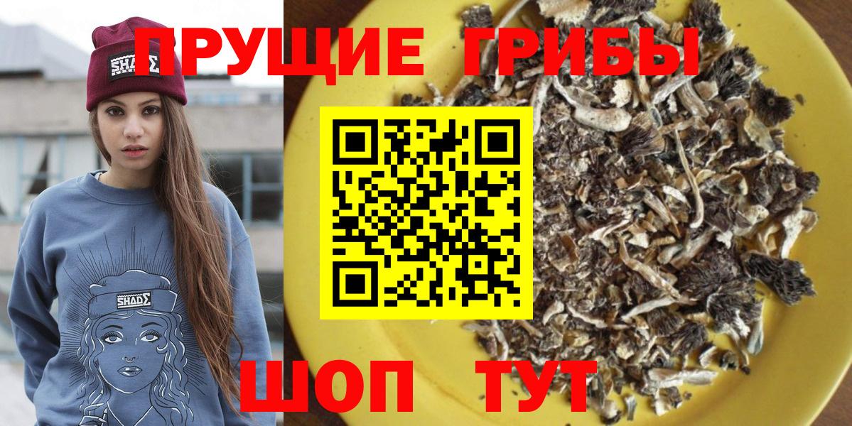 Верхний Уфалей  Галлюциногенные грибы Psilocybine cubensis  Вход с VPN 