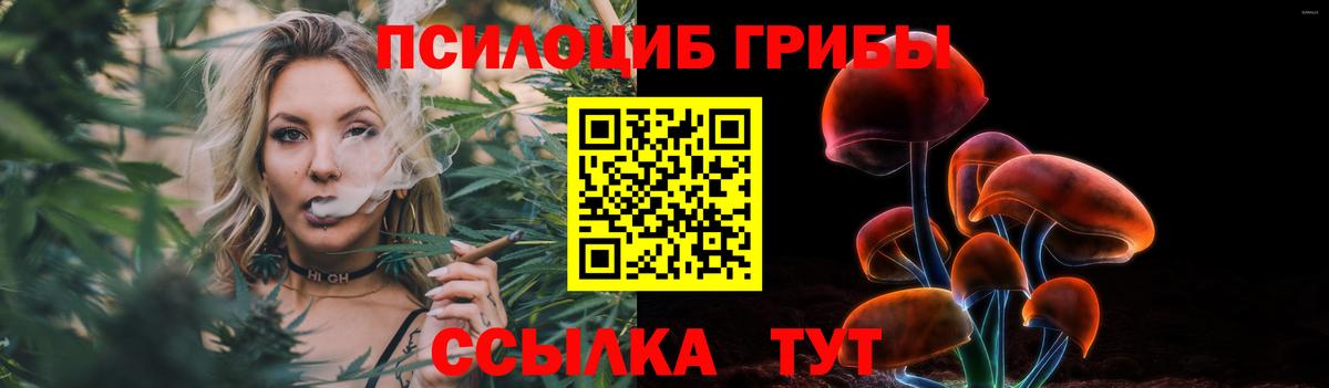 Галлюциногенные грибы Psilocybine cubensis Верхний Уфалей